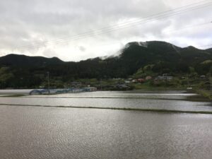 雨上がりの夕暮れです